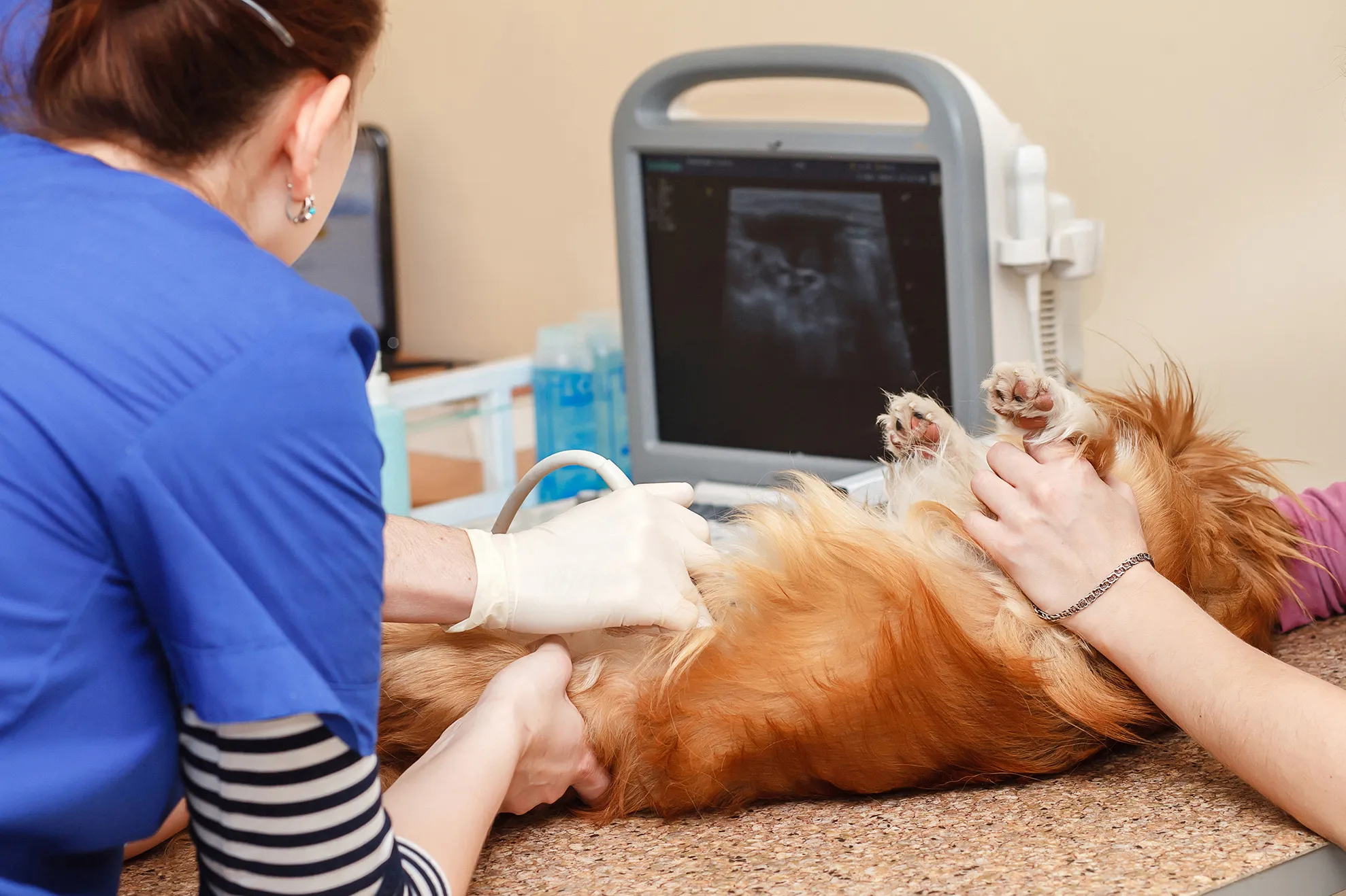 Emergency & Referral Services